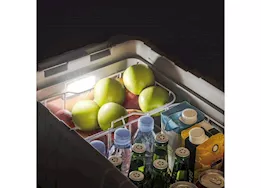 Project X Blizzard box - 41qt/38l electric portable fridge / freezer